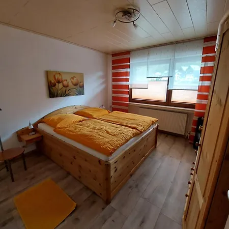 Apartmán Arendt Inkl Meinecardplus Willingen (Upland)