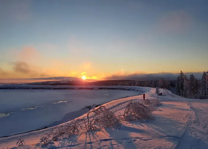 Arendt Inkl Meinecardplus Apartamento