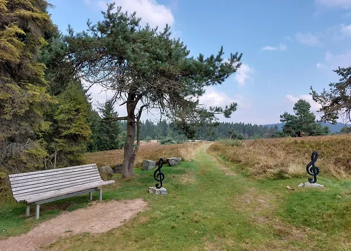 Arendt Inkl Meinecardplus Apartamento